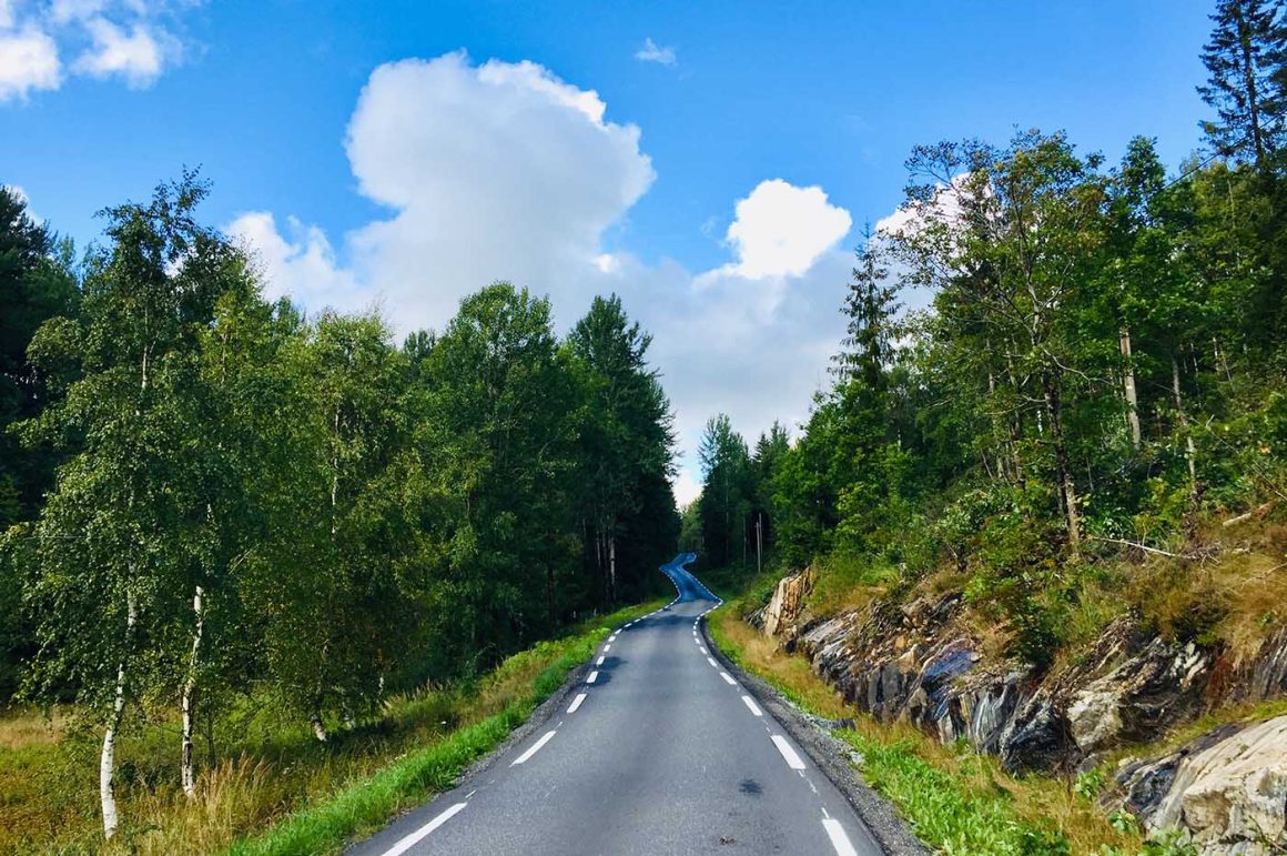Slingerende weg door het bos in Zuid-Noorwegen